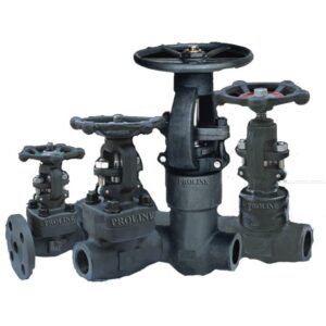 Forged Valve