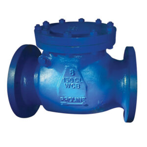 Swing Check Valve